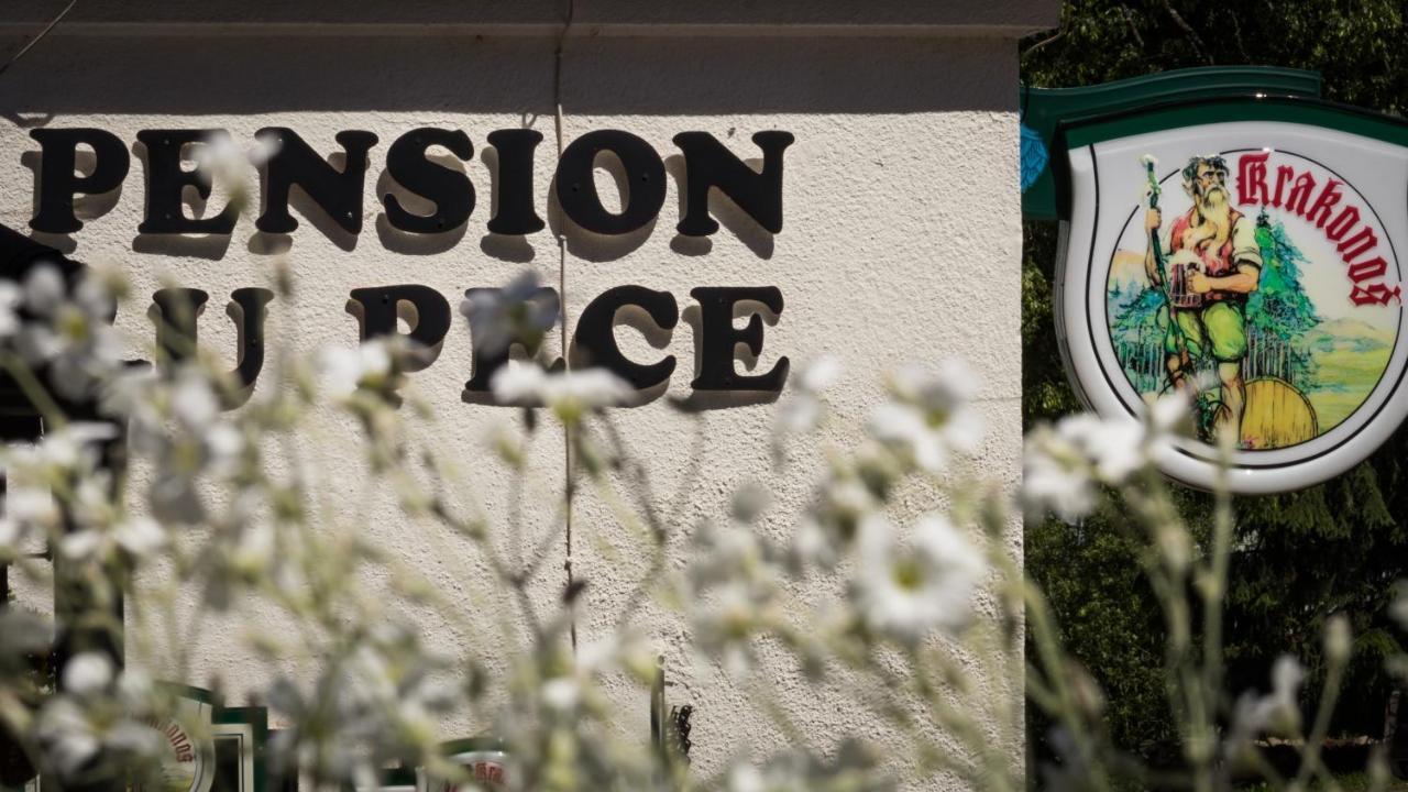 Pension U Pece Pec pod Sněžkou Exterior foto